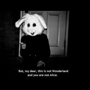 Meet your Posher, Steph